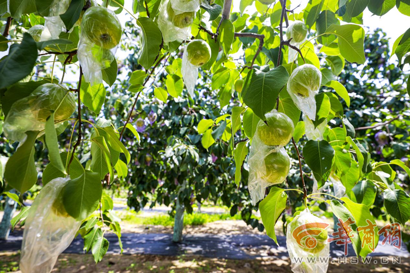 Sk3YyY0CAsVmGni1.png Sk3YyY0CAsVmGni1.png