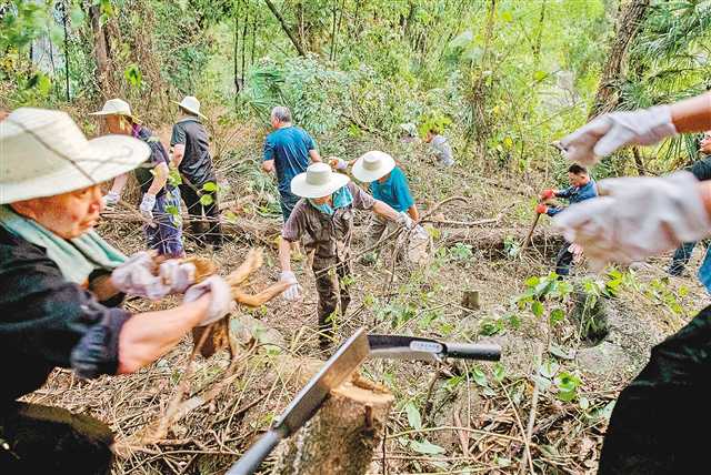 八月二十三日,巴南區(qū)南泉街道火災救援現場。記者 崔力 攝\視覺重慶