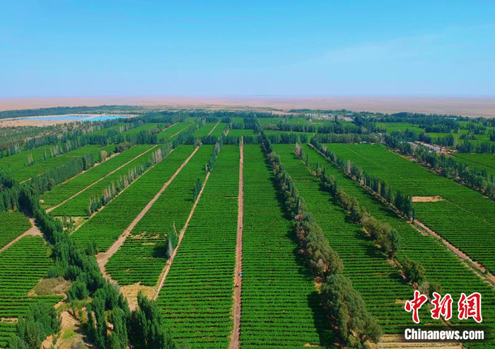 點擊進入下一頁