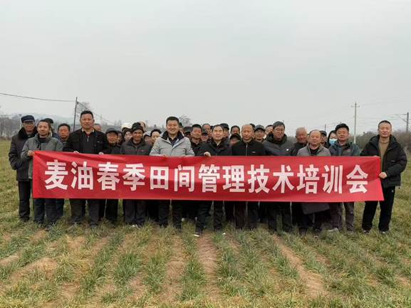 圖示, 示意圖 中度可信度描述已自動生成:ver1