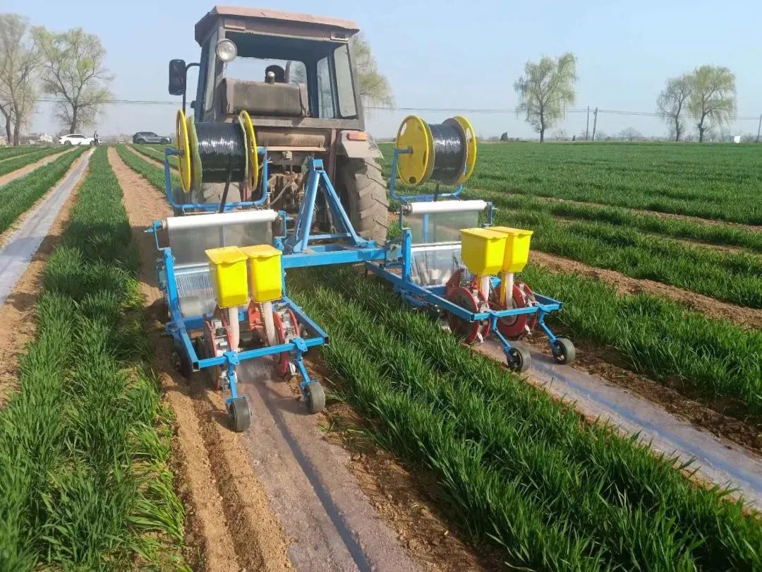 adecd7e563f095773a6e762df58517f4.jpeg 圖片