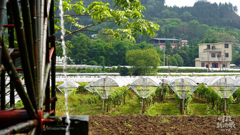 點(diǎn)擊進(jìn)入下一頁(yè)