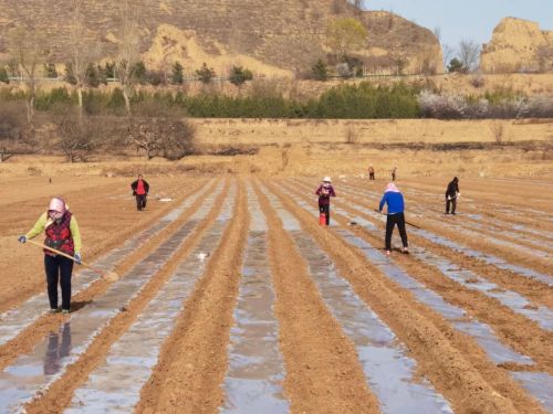 微信圖片_20230413104540