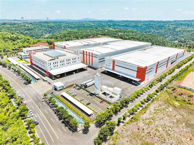 7月2日,潼南區(qū)雪王農(nóng)業(yè)(重慶)有限公司,眾多冷藏車準備運送新鮮檸檬。記者 鄭宇 攝/視覺重慶