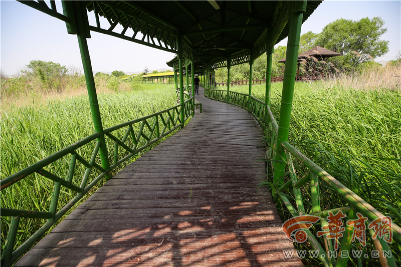 wXSe5j7bir1c9Ckl.png wXSe5j7bir1c9Ckl.png