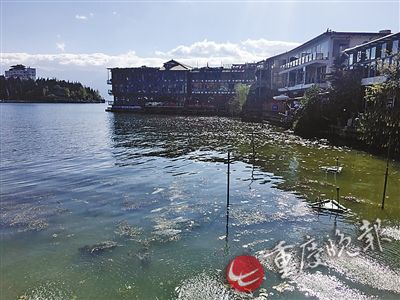 成片客棧緊鄰洱海