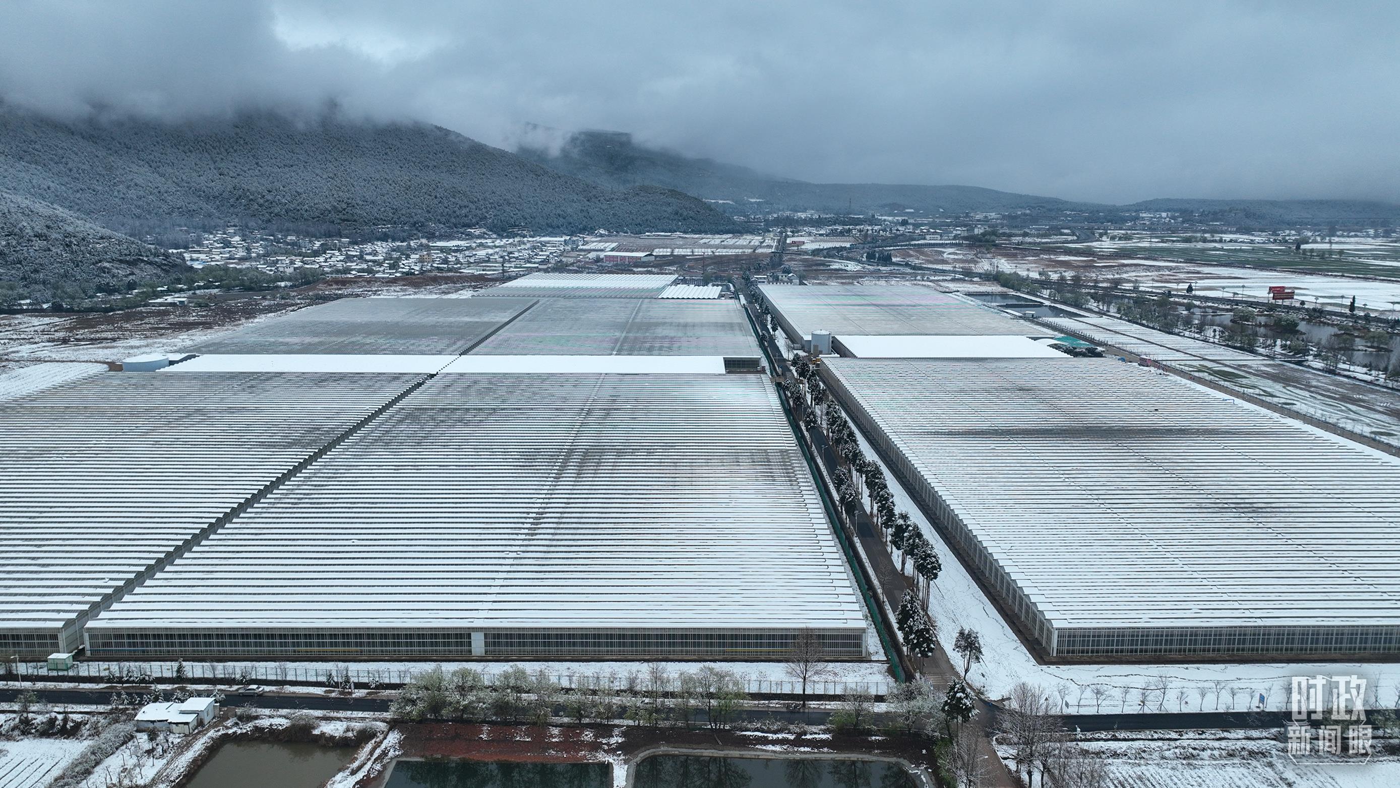 習(xí)近平赴云南麗江考察，關(guān)注這座名城的“古與今”