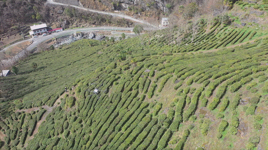 圖示, 示意圖

中度可信度描述已自動生成:ver1