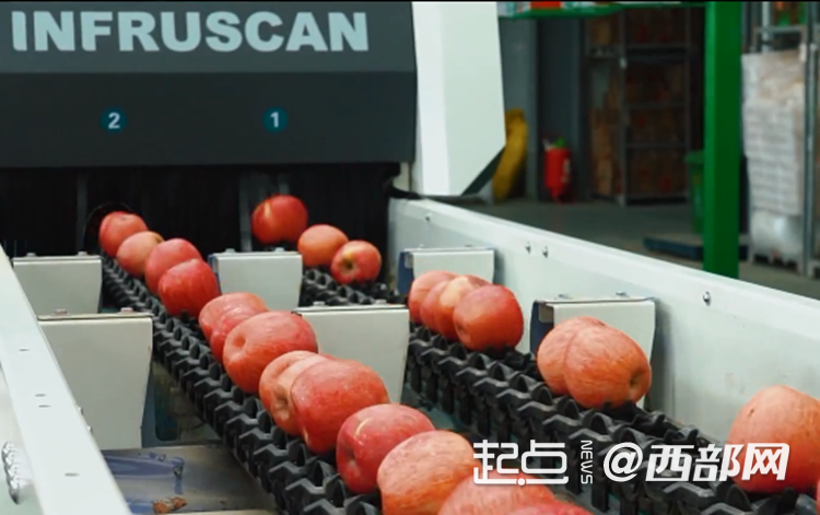 正在上傳... bd40d557086ace8da3fbe6bf4ab57f2b.png