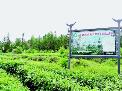 邊疆民族村寨的幸福密碼 邊疆民族村寨的幸福密碼