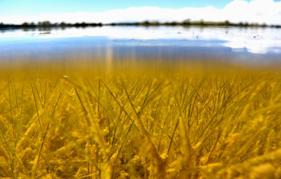 走進(jìn)西藏羌塘自然保護(hù)區(qū) 走進(jìn)西藏羌塘自然保護(hù)區(qū)