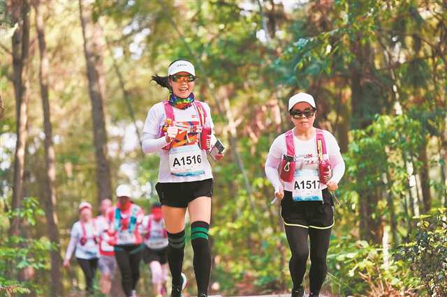 川渝兩地聯(lián)合舉辦古佛山·道林溝棧道越野賽。受訪者供圖