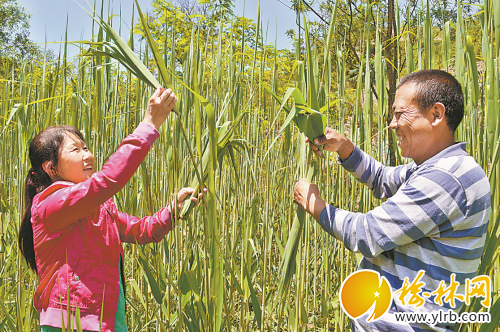 QQ截圖20180903200806