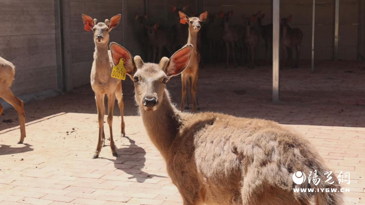 ab0689760e79a0d76ed07d3f2b0c37e8 ab0689760e79a0d76ed07d3f2b0c37e8