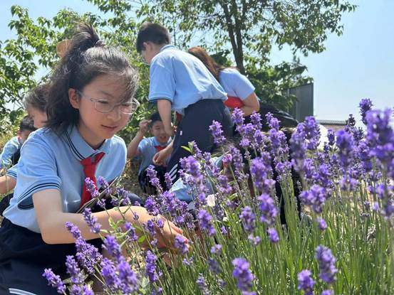 ecce47f3a22261c8788fb707c0ec912