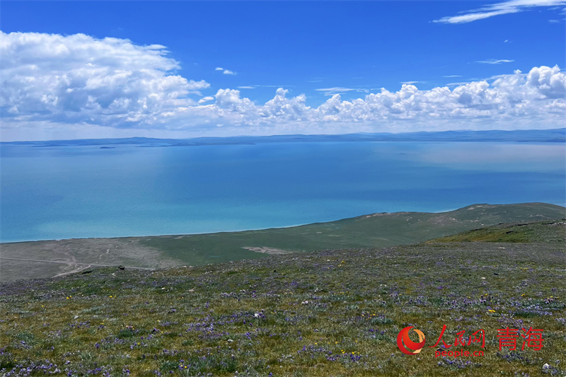 遠眺鄂陵湖。人民網(wǎng)記者 甘海瓊攝