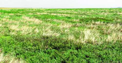 新西??014-10期PDF??????jpg