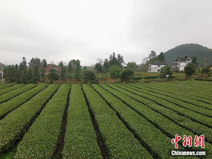 點擊進入下一頁