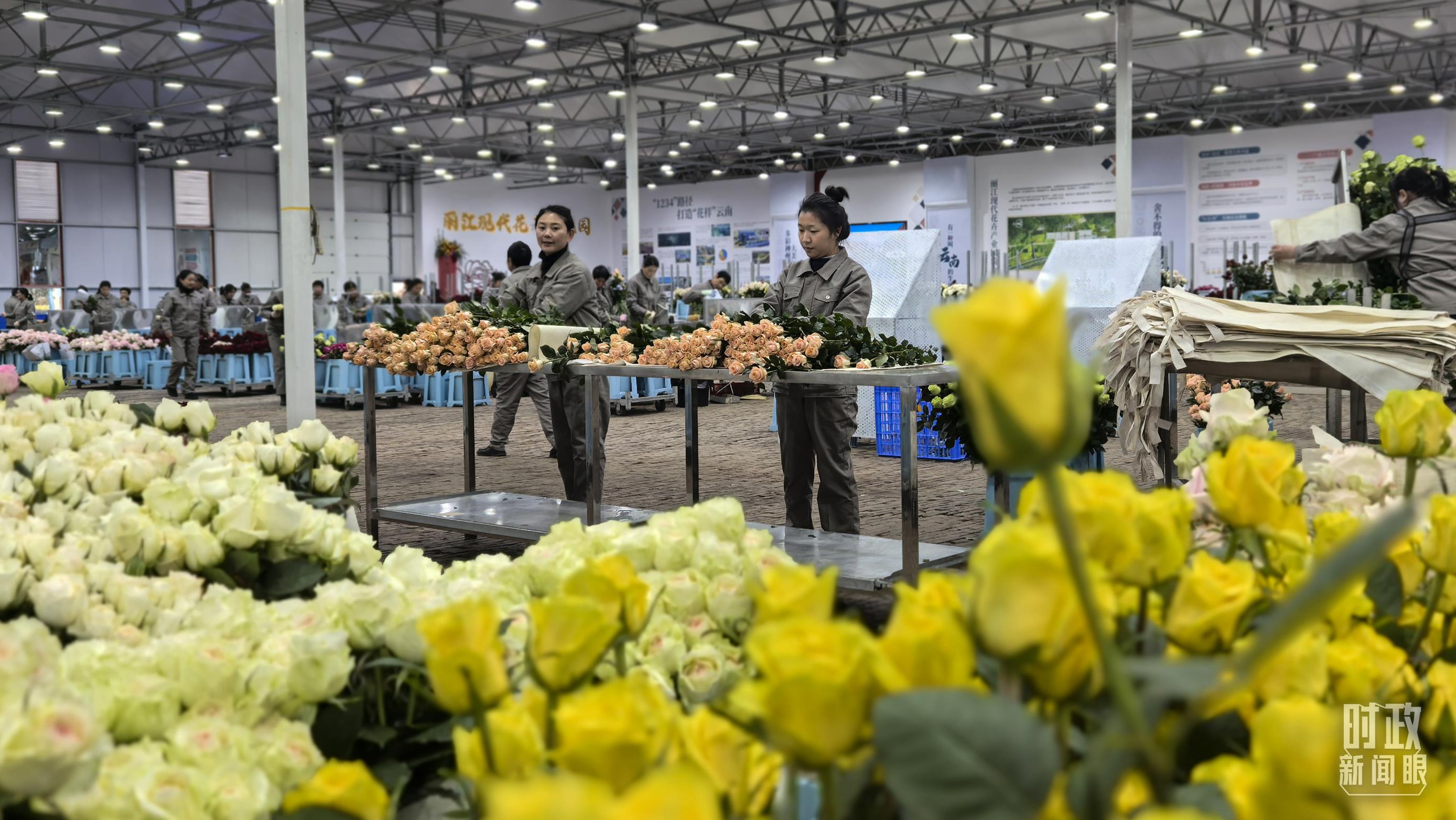 習(xí)近平赴云南麗江考察，關(guān)注這座名城的“古與今”