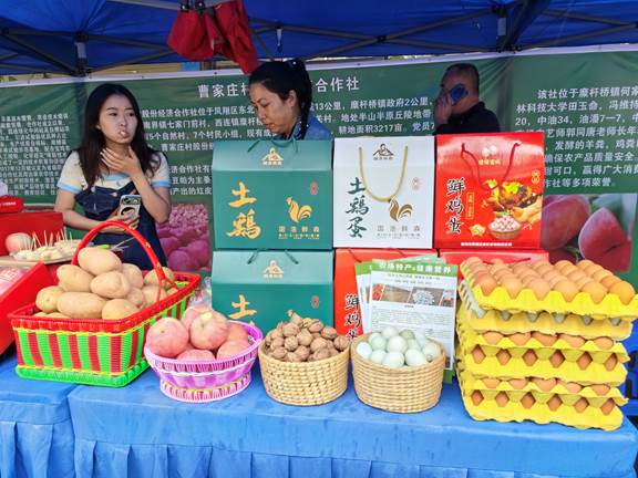 圖示, 示意圖 中度可信度描述已自動生成:ver1