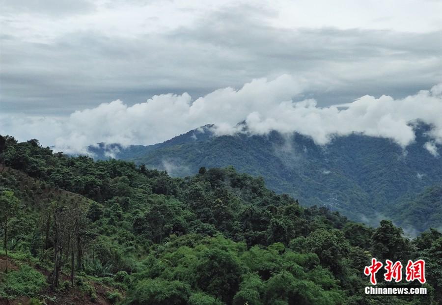 石梯村有著優(yōu)美的風(fēng)光和自然資源,吸引了大批鳥類。<a target='_blank' >中新網(wǎng)</a>記者 張旭 攝 石梯村有著優(yōu)美的風(fēng)光和自然資源,吸引了大批鳥類。<a target='_blank' >中新網(wǎng)</a>記者 張旭 攝