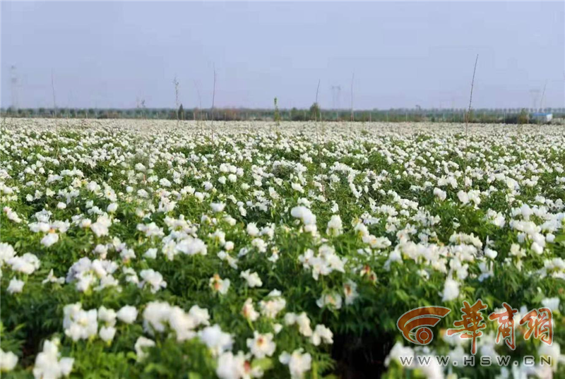 ujkTbP9lExO2Kyd6.png ujkTbP9lExO2Kyd6.png