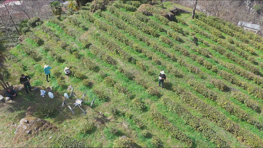 圖示, 示意圖

中度可信度描述已自動生成:ver1