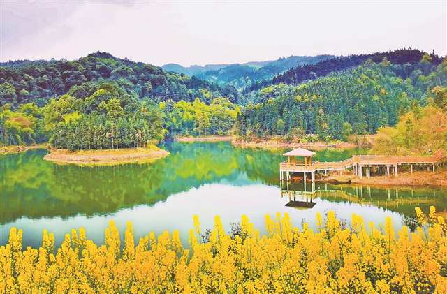 四川省瀘縣道林溝景區(qū)一角。受訪者供圖