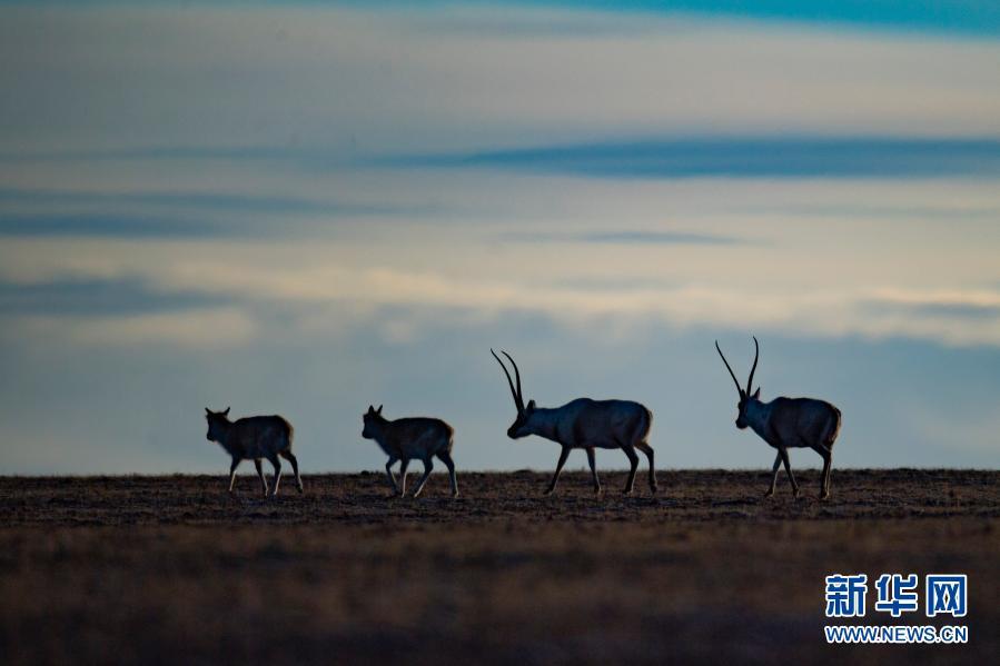 點(diǎn)擊進(jìn)入下一頁(yè)