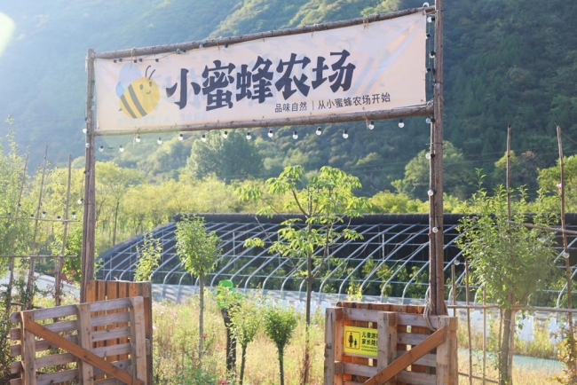 煥新“農(nóng)家院” 開拓“新賽道”——寶雞市渭濱區(qū)推動鄉(xiāng)村文旅融合發(fā)展