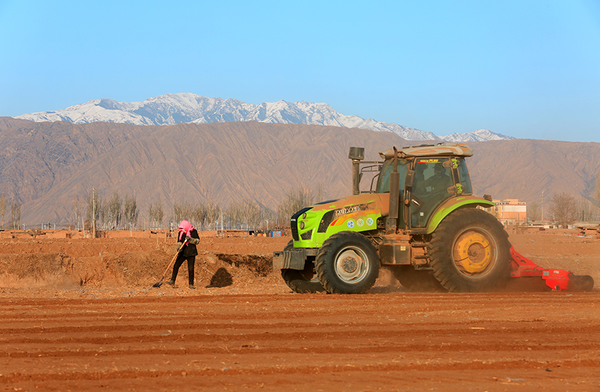 甘肅省張掖市甘州區(qū)龍渠鄉(xiāng)頭閘村田野，村民搶抓農(nóng)時，駕駛農(nóng)機耕耙保墑、播種小麥。楊永偉攝